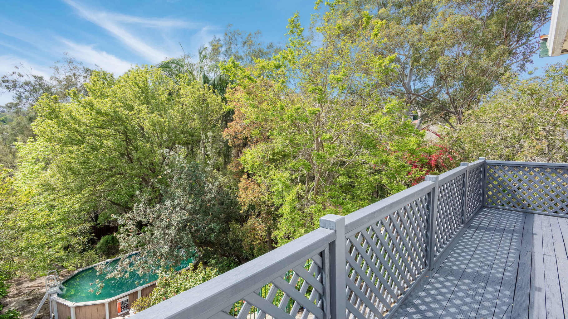 48 Carvers Road, Oyster Bay - Thumbnail 5