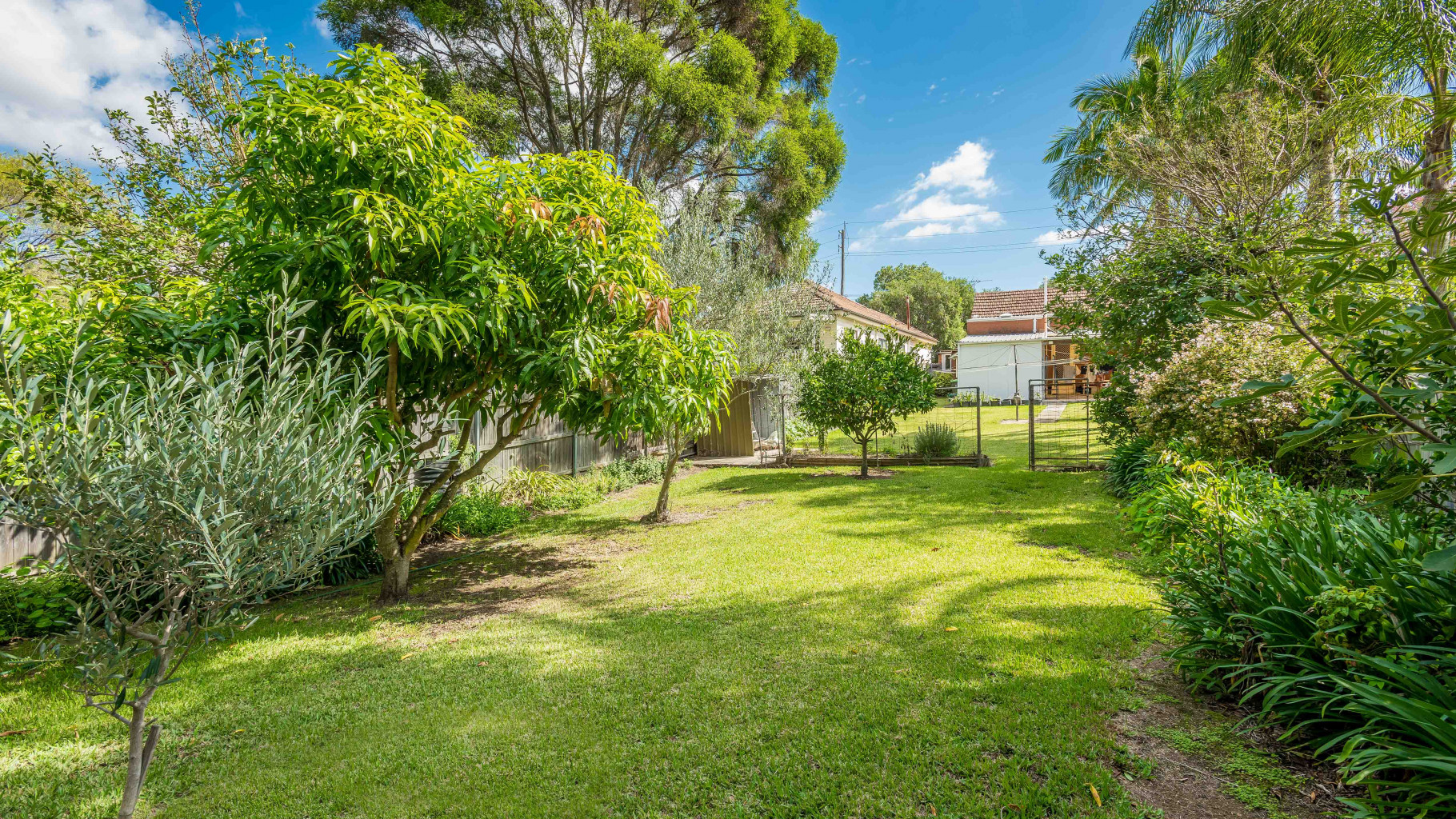 14 Wattle Street, Peakhurst - Thumbnail 3