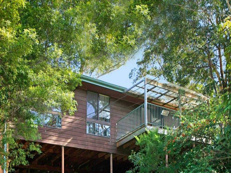 71 Carvers Road, Oyster Bay - Thumbnail 2