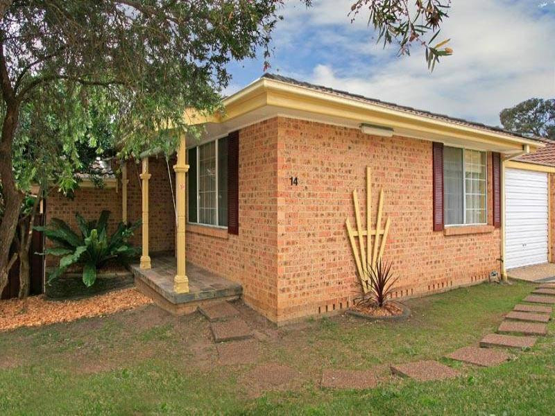 14/7-11 Clio Street