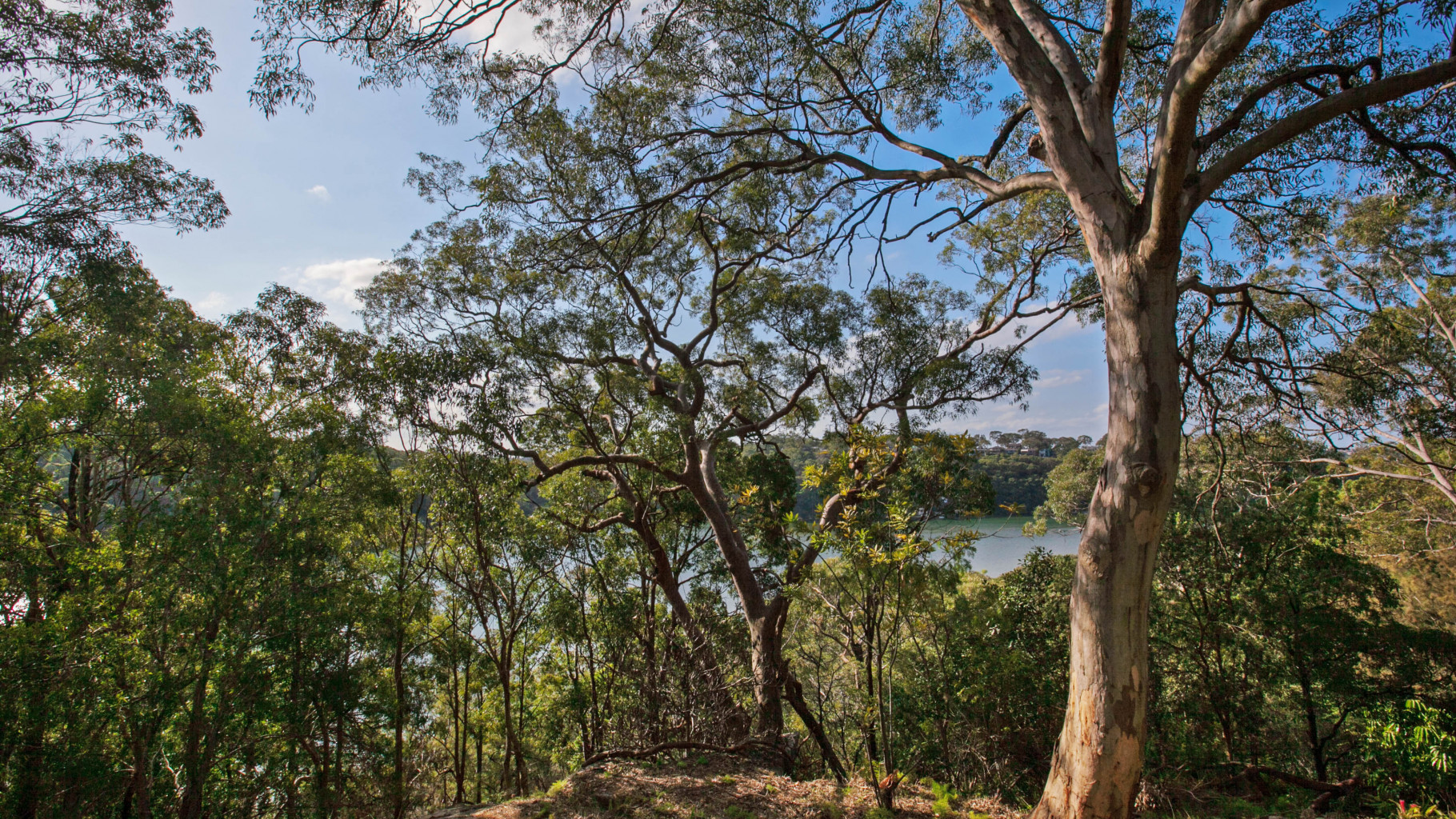 75 Woronora  Crescent, Como - Thumbnail 2