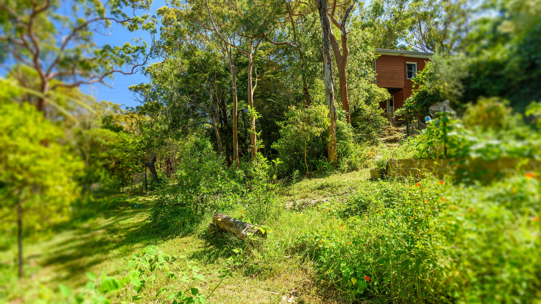 16 Carol Avenue, Jannali - Thumbnail 7