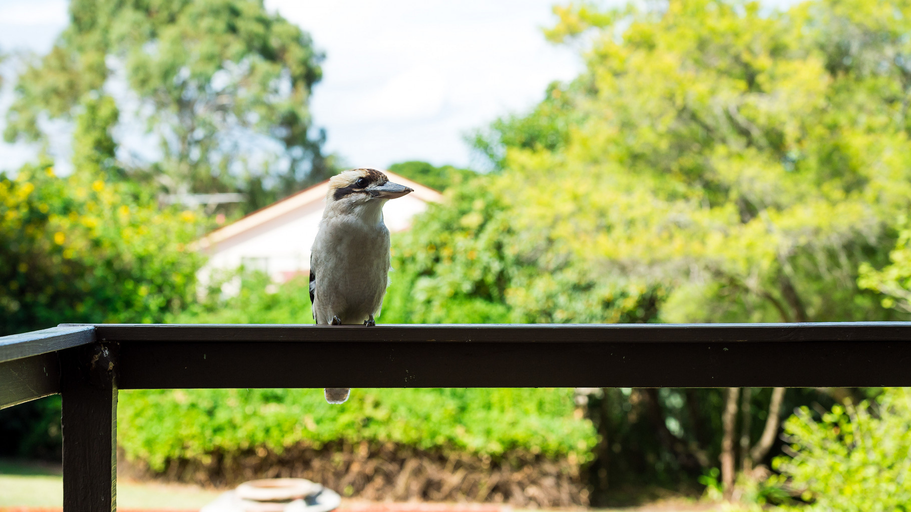 30 First Avenue, Loftus - Thumbnail 7