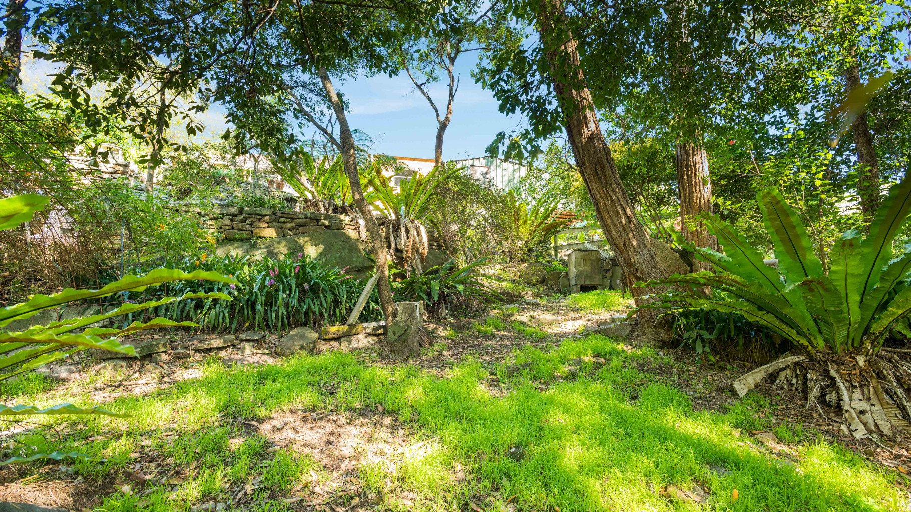 95 Waratah Street, Kirrawee - Thumbnail 5
