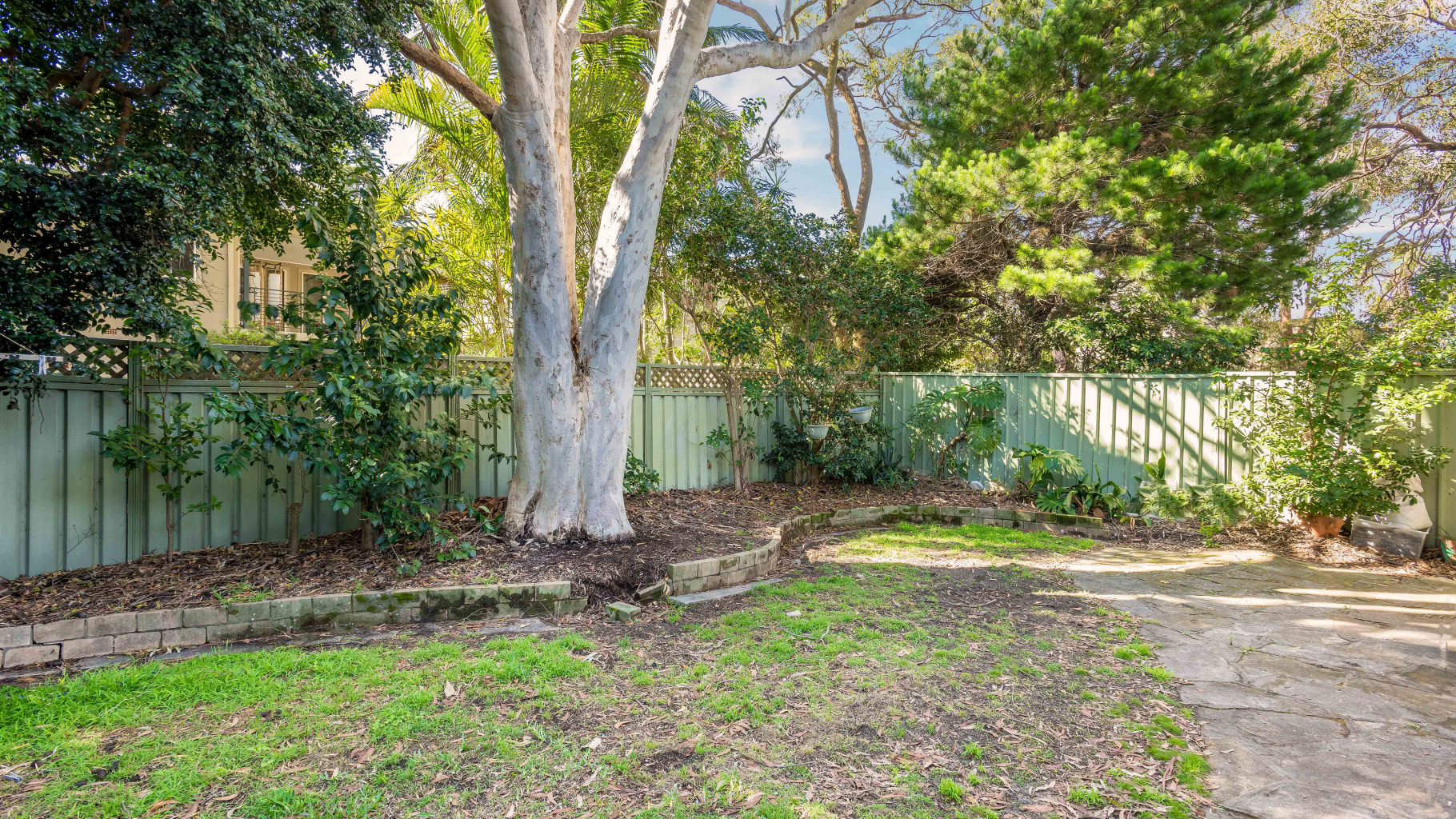 13 Borambil Place, Oyster Bay - Thumbnail 6